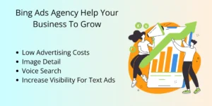 Bing Ads Agency Help Your Business To Grow